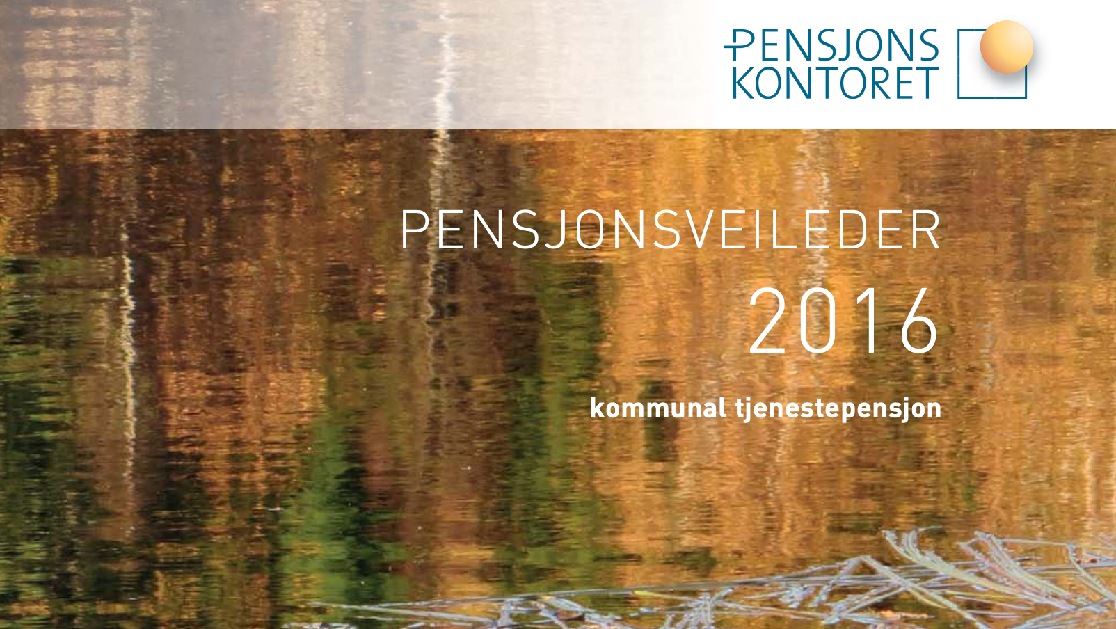 Pensjonsveileder 2016
