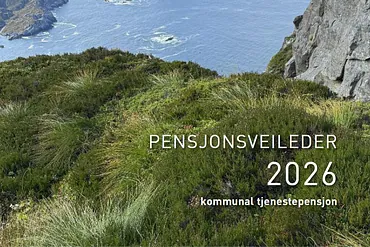 Pensjonsveileder 2026