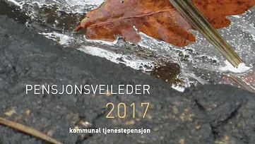 Pensjonsveileder 2017