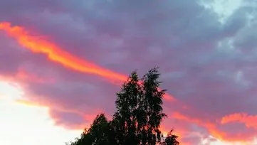 Fargerike skyer over trær